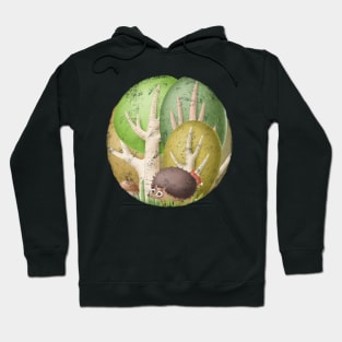 Cute hedgehog in forest Hoodie